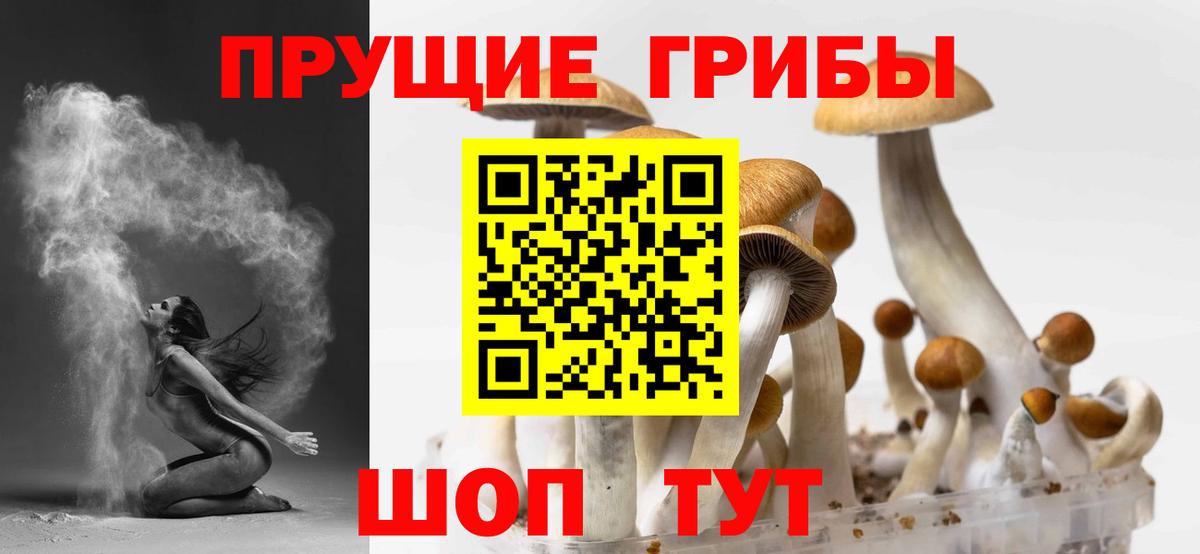 Светлоград  Галлюциногенные грибы прущие грибы  цены наркотик  Вход с VPN 